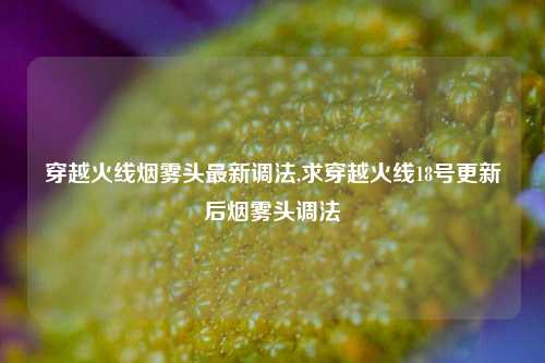 穿越火线烟雾头最新调法,求穿越火线18号更新后烟雾头调法
