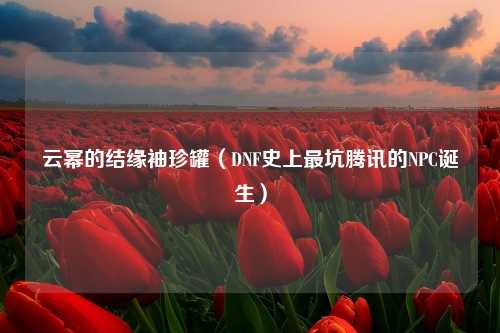 云幂的结缘袖珍罐（DNF史上最坑腾讯的NPC诞生）