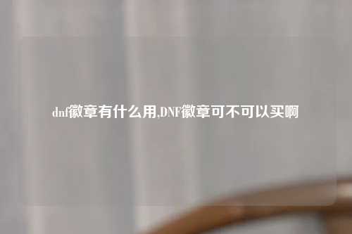 dnf徽章有什么用,DNF徽章可不可以买啊