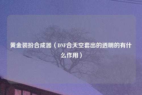 黄金装扮合成器（DNF合天空套出的透明的有什么作用）