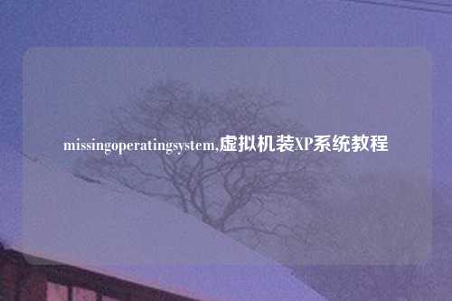 missingoperatingsystem,虚拟机装XP系统教程