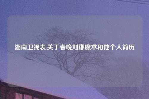 湖南卫视表,关于春晚刘谦魔术和他个人简历