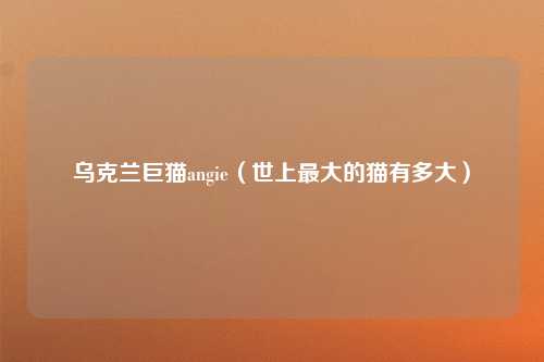 乌克兰巨猫angie（世上最大的猫有多大）