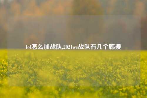 lol怎么加战队,2021we战队有几个韩援