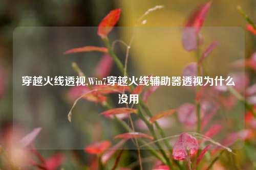 穿越火线透视,Win7穿越火线辅助器透视为什么没用