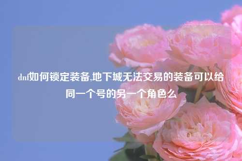 dnf如何锁定装备,地下城无法交易的装备可以给同一个号的另一个角色么