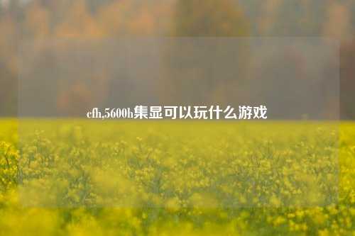 cfh,5600h集显可以玩什么游戏
