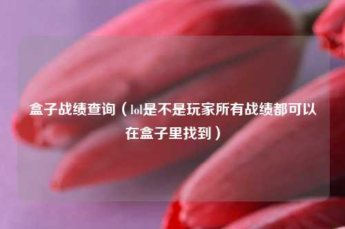盒子战绩查询（lol是不是玩家所有战绩都可以在盒子里找到）
