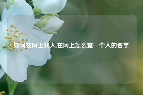 如何在网上找人,在网上怎么查一个人的名字
