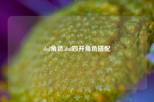 dnf角色,dnf四开角色搭配