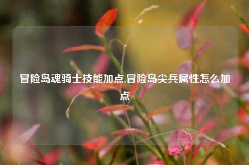 冒险岛魂骑士技能加点,冒险岛尖兵属性怎么加点