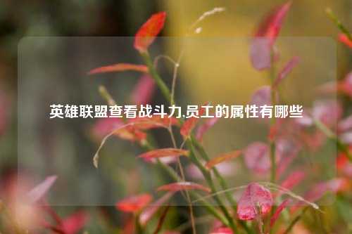 英雄联盟查看战斗力,员工的属性有哪些