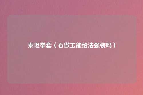 泰坦拳套（石傲玉能给法强装吗）