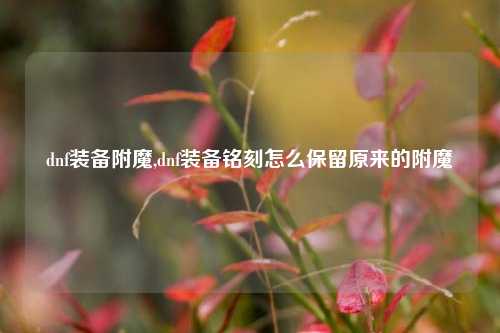 dnf装备附魔,dnf装备铭刻怎么保留原来的附魔
