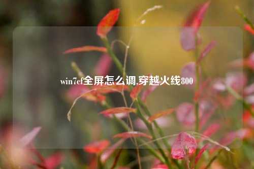 win7cf全屏怎么调,穿越火线800