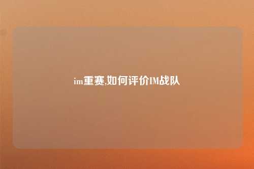 im重赛,如何评价IM战队