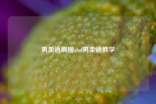 男柔道刷图,dnf男柔道教学
