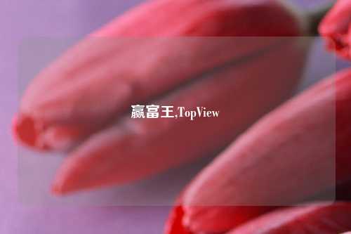赢富王,TopView
