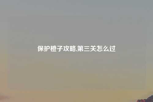 保护橙子攻略,第三关怎么过