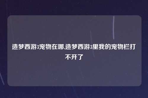 造梦西游3宠物在哪,造梦西游3里我的宠物栏打不开了