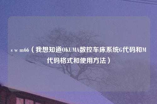 s w m66（我想知道OKUMA数控车床系统G代码和M代码格式和使用方法）