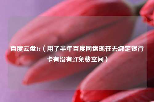 百度云盘1t（用了半年百度网盘现在去绑定银行卡有没有2T免费空间）