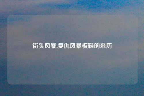 街头风暴,复仇风暴板鞋的来历