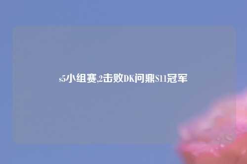 s5小组赛,2击败DK问鼎S11冠军