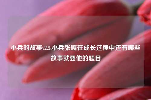 小兵的故事v2.5,小兵张嘎在成长过程中还有哪些故事就要他的题目