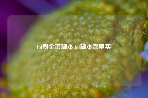 lol刷金币脚本,lol脚本哪里买