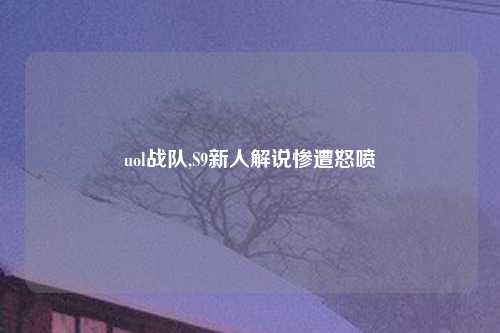 uol战队,S9新人解说惨遭怒喷