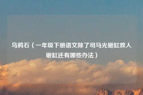乌鸦石（一年级下册语文除了司马光砸缸救人砸缸还有哪些办法）