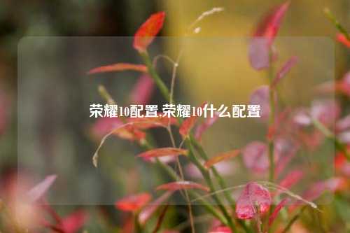 荣耀10配置,荣耀10什么配置