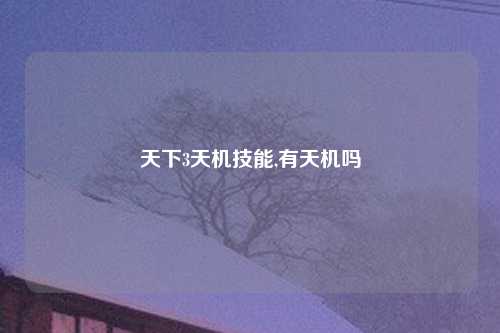 天下3天机技能,有天机吗