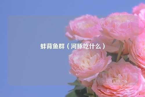 蚌背鱼群（河豚吃什么）