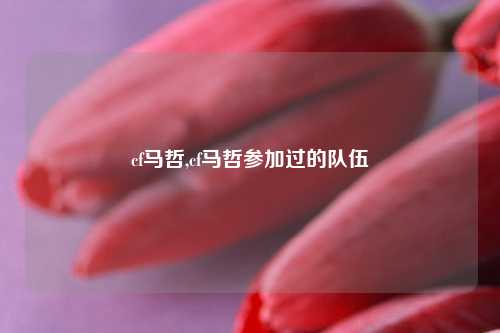 cf马哲,cf马哲参加过的队伍