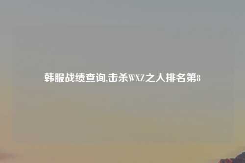 韩服战绩查询,击杀WXZ之人排名第8