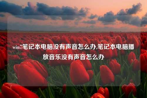 win7笔记本电脑没有声音怎么办,笔记本电脑播放音乐没有声音怎么办