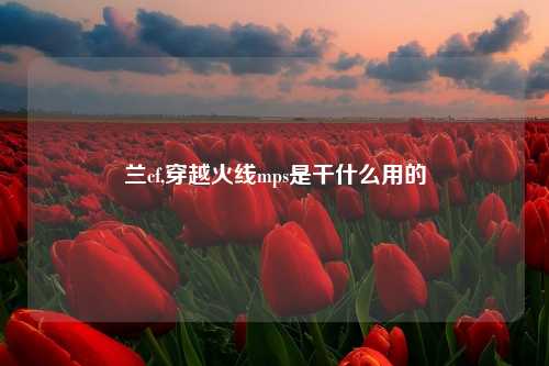兰cf,穿越火线mps是干什么用的