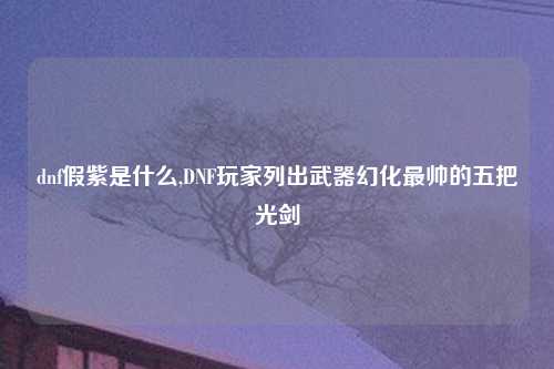 dnf假紫是什么,DNF玩家列出武器幻化最帅的五把光剑