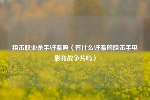狙击职业杀手好看吗（有什么好看的阻击手电影和战争片吗）
