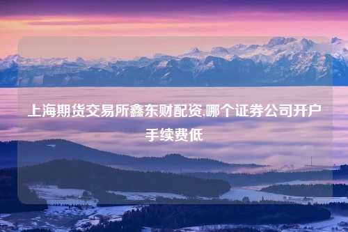 上海期货交易所鑫东财配资,哪个证券公司开户手续费低