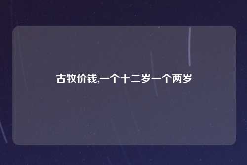 古牧价钱,一个十二岁一个两岁