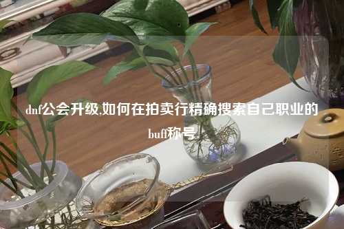 dnf公会升级,如何在拍卖行精确搜索自己职业的buff称号