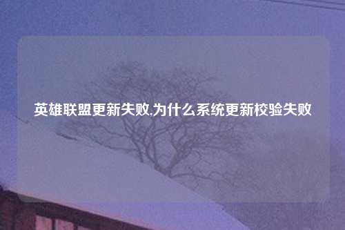 英雄联盟更新失败,为什么系统更新校验失败
