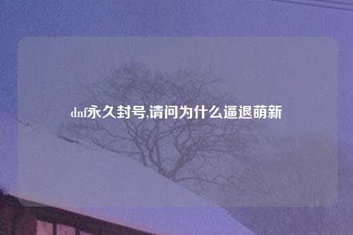 dnf永久封号,请问为什么逼退萌新