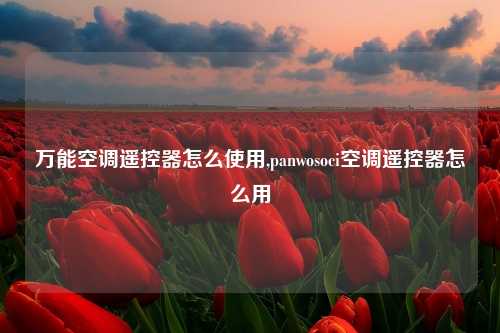 万能空调遥控器怎么使用,panwosoci空调遥控器怎么用