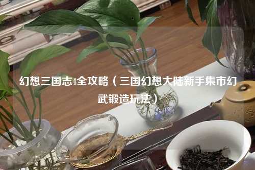 幻想三国志4全攻略（三国幻想大陆新手集市幻武锻造玩法）