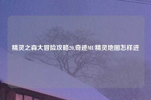 精灵之森大冒险攻略20,奇迹MU精灵地图怎样进