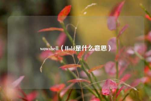 wowshell（Hold是什么意思）